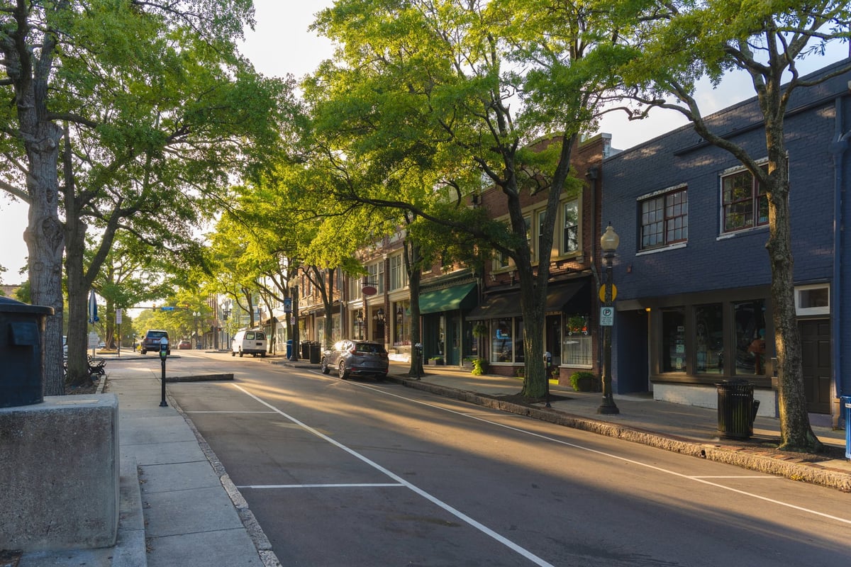 Well-maintained residential neighborhood with traditional homes and landscaping