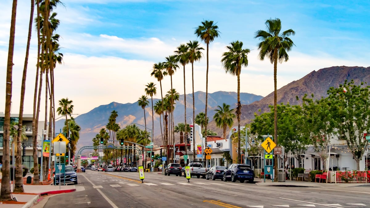 Palm-tree-lined street with mountain views in a desert residential area