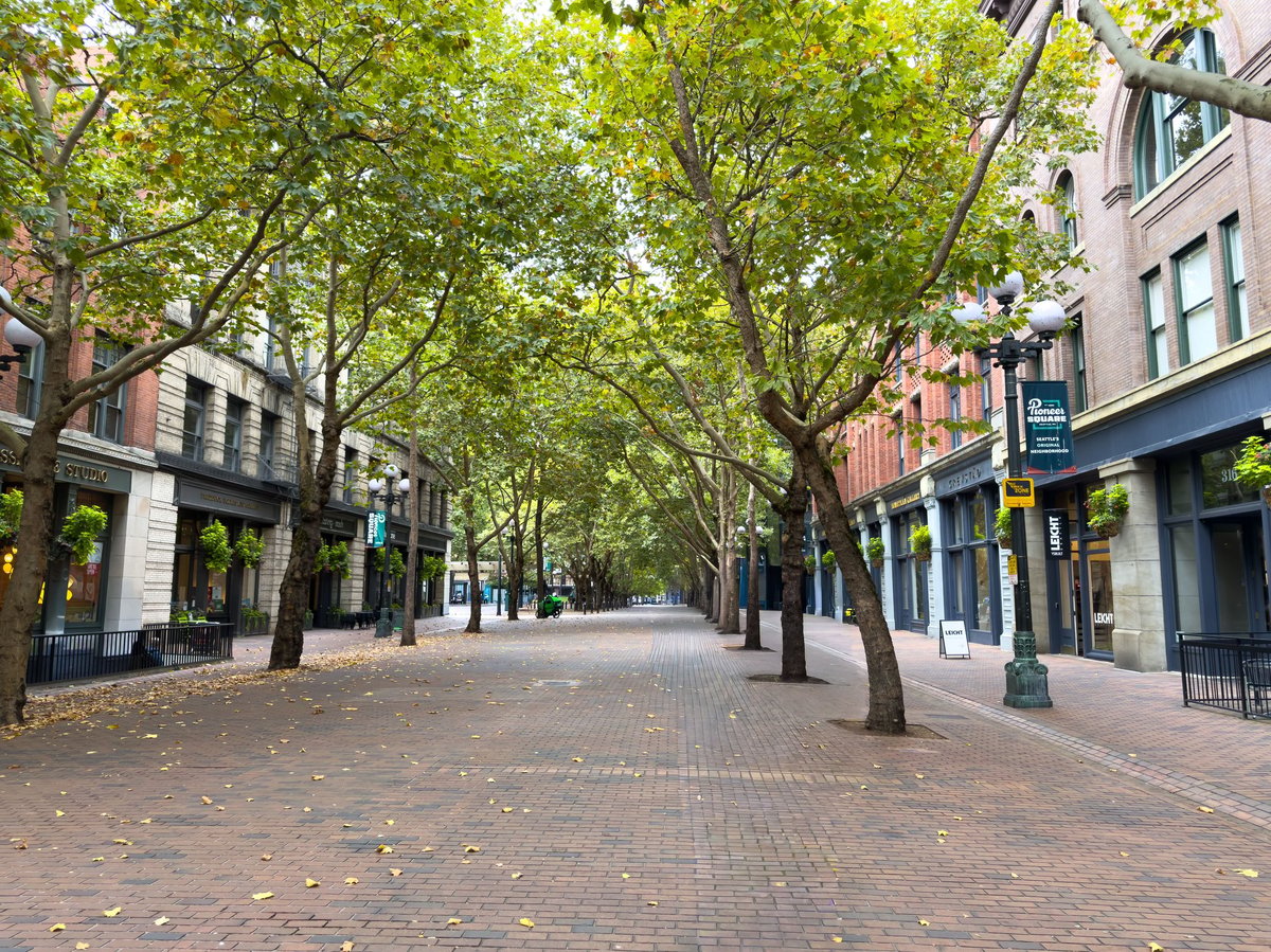 Tree-lined street with well-maintained residential homes and brick accents