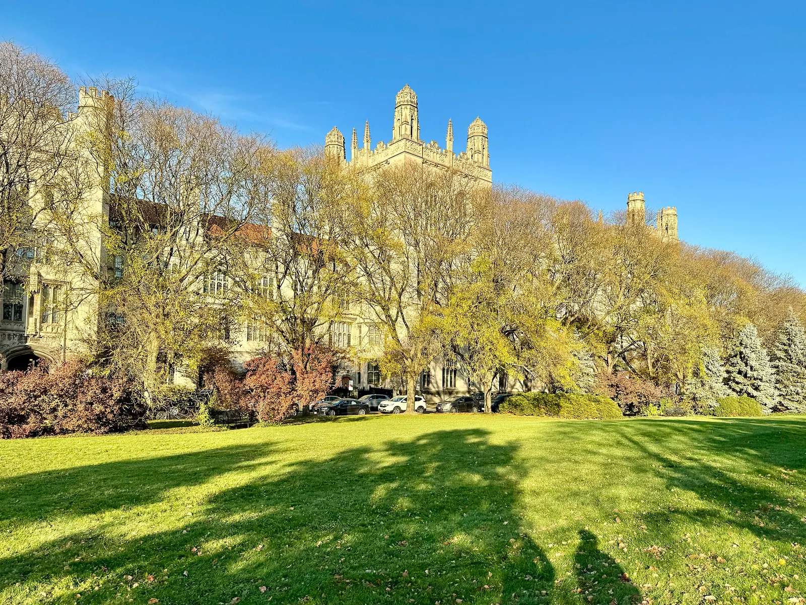 Harper Memorial Library on the University of Chicago campus in Hyde Park.